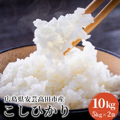 米 令和7年産 こしひかり 10kg(5kg×2) 広島県安芸高田市産  [No5895-0333]