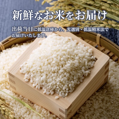 米 令和7年産 こしひかり 10kg(5kg×2) 広島県安芸高田市産  [No5895-0333]