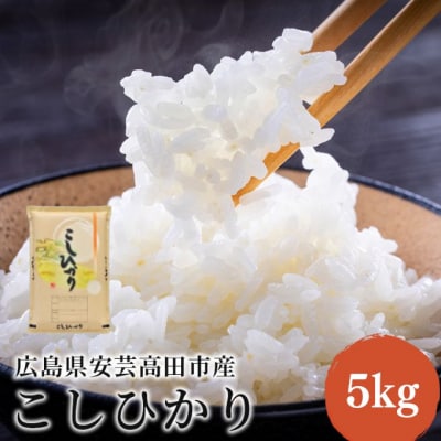 米 令和7年産 こしひかり 5kg 2025年 広島県安芸高田市産 白米[No5895-0819]