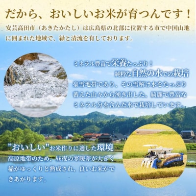 米 令和7年産 こしひかり 5kg 2025年 広島県安芸高田市産 白米[No5895-0819]