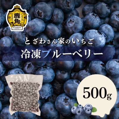 鹿角産 冷凍ブルーベリー500g×1袋(サイズMIX)【とざわさん家のいちご】