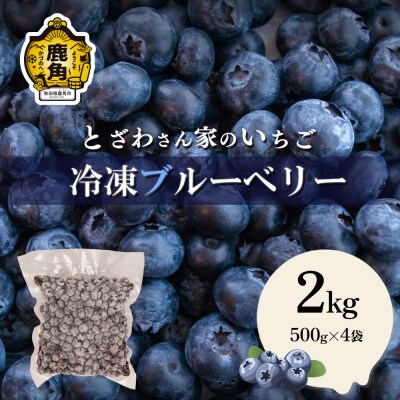 鹿角産 冷凍ブルーベリー2kg(500g×4袋)サイズMIX【とざわさん家のいちご】