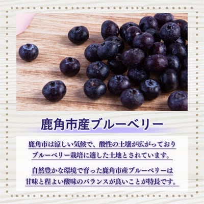 鹿角産 冷凍ブルーベリー2kg(500g×4袋)サイズMIX【とざわさん家のいちご】