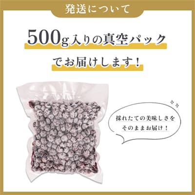鹿角産 冷凍ブルーベリー2kg(500g×4袋)サイズMIX【とざわさん家のいちご】
