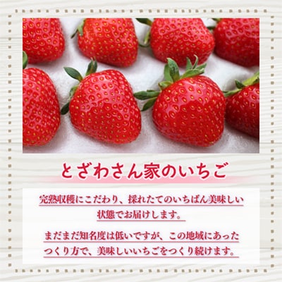 鹿角産 冷凍 いちご 500g×1袋【とざわさん家のいちご】