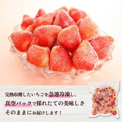 鹿角産 冷凍 いちご 2kg(500g×4袋)【とざわさん家のいちご】