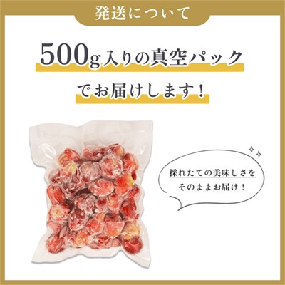 鹿角産 冷凍 いちご 2kg(500g×4袋)【とざわさん家のいちご】