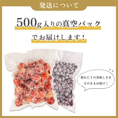 鹿角産 冷凍 いちご & ブルーベリー 2kgサイズMIX【とざわさん家のいちご】