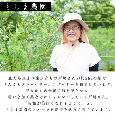 鹿角産 高原りんごジュース 300ml×12本【としま農園】