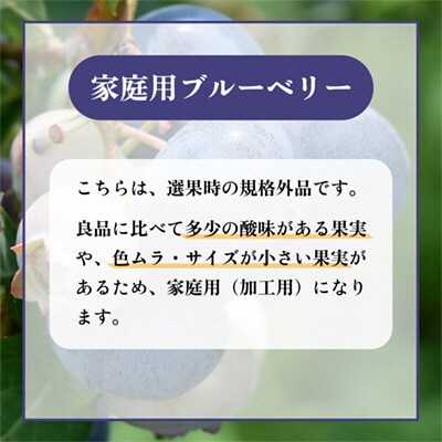 令和7年産【訳あり】秋田県鹿角産 冷凍ブルーベリー 家庭用 2kg(サイズMIX)【としま農園】
