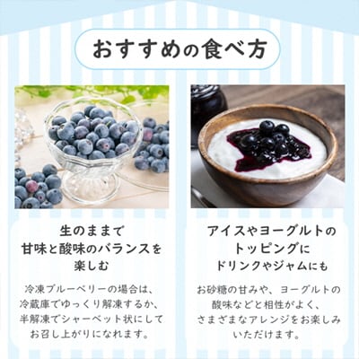 令和7年産 冷凍ブルーベリー 良品 2kg(サイズMIX)【としま農園】