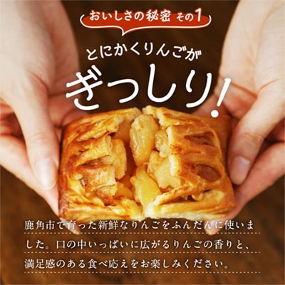 たっぷりりんごの アップルパイ 8個入(箱入り)【レディースファーム】