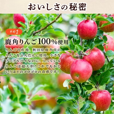 アップルパイ『極』18cmホール【レディースファーム】