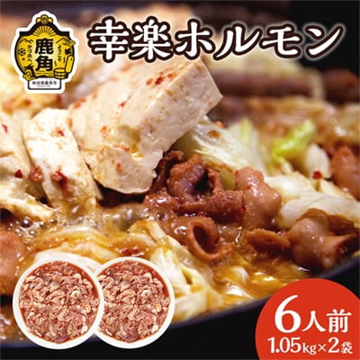 濃い甘の秘伝自家製ダレ 幸楽ホルモン 1.05kg × 2袋 (6人前)【ホルモン幸楽】 