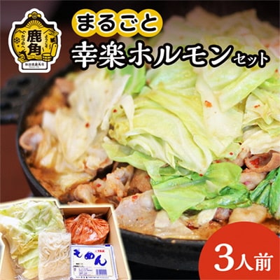 まるごと幸楽ホルモンセット 3人前【ホルモン幸楽】 