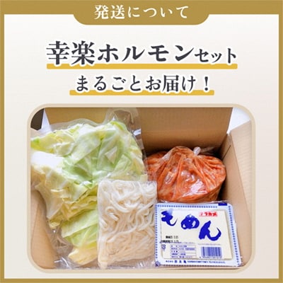 まるごと幸楽ホルモンセット 3人前【ホルモン幸楽】 