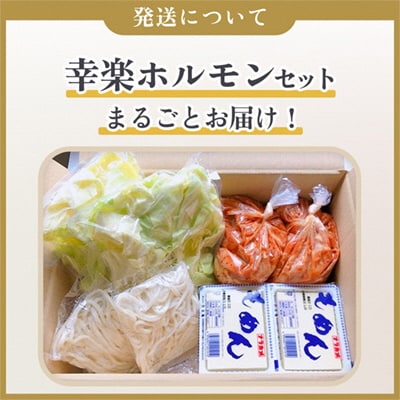 まるごと幸楽ホルモンセット 6人前【ホルモン幸楽】 