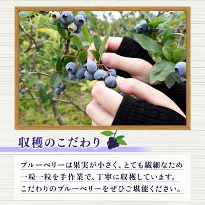冷凍 ブルーベリー 約1kg サイズMIX 【恋する鹿角カンパニー】