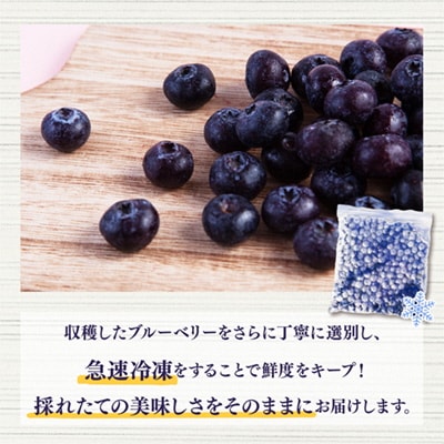 冷凍 ブルーベリー 約2kg(1kg×2袋)サイズMIX【恋する鹿角カンパニー】