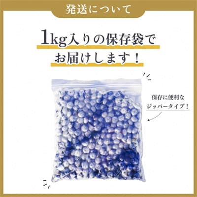 冷凍 ブルーベリー 約2kg(1kg×2袋)サイズMIX【恋する鹿角カンパニー】