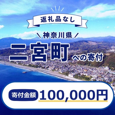 【返礼品なし】神奈川県二宮町への応援寄付金(1口 100,000円)