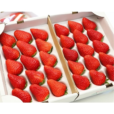 〈数量限定〉名産地伊豆のきらぴ香・紅ほっぺ食べ比べセット(約400g×4パック)