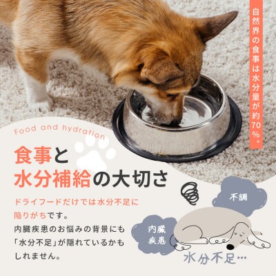 【MANMA BUONO】犬の手作りごはん お試しAセット3種|ペットフード 有名 人気ペットフード