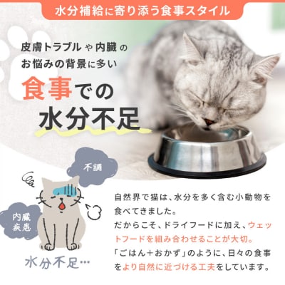 【MANMA BUONO】猫の手作りごはん お試しAセット3種|ペットフード 有名 人気ペットフード