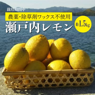 【先行受付】【栽培期間中農薬・除草剤不使用】離島 佐木島!レモン 約1.5kg [017-007]