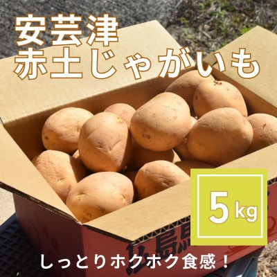 【先行受付商品】安芸津　赤土じゃがいも　5kg【配送時期:6月上旬～8月上旬/11月下旬～1月上旬】