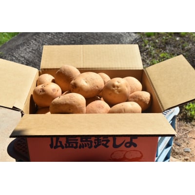 【先行受付商品】安芸津　赤土じゃがいも　5kg【配送時期:6月上旬～8月上旬/11月下旬～1月上旬】