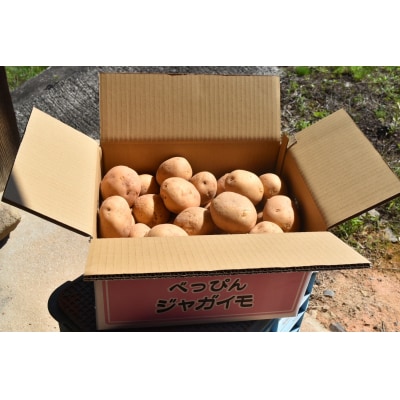 【先行受付商品】安芸津 赤土じゃがいも 10kg 配送時期:6月上旬～8月上旬/11月下旬～1月上旬