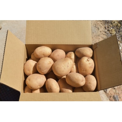 【先行受付商品】安芸津 赤土じゃがいも 10kg 配送時期:6月上旬～8月上旬/11月下旬～1月上旬