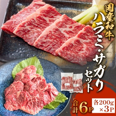国産和牛 ハラミ サガリ セット 6P 国産 和牛 牛肉 肉 お肉 はらみ さがり 宮城県産 焼肉 