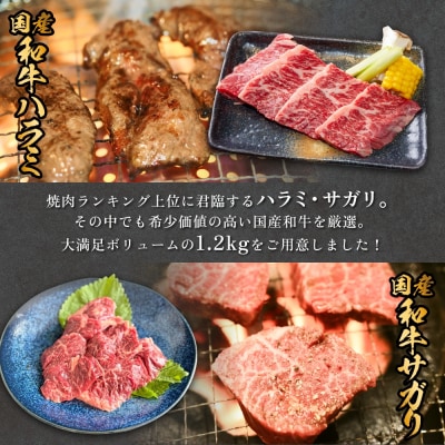 国産和牛 ハラミ サガリ セット 6P 国産 和牛 牛肉 肉 お肉 はらみ さがり 宮城県産 焼肉 