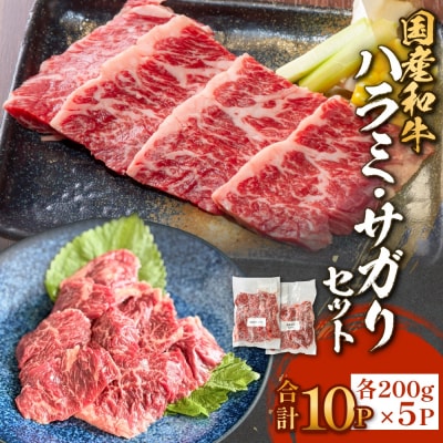 国産和牛 ハラミ サガリ セット 10P 国産 和牛 牛肉 肉 お肉 はらみ さがり 宮城県産 焼肉