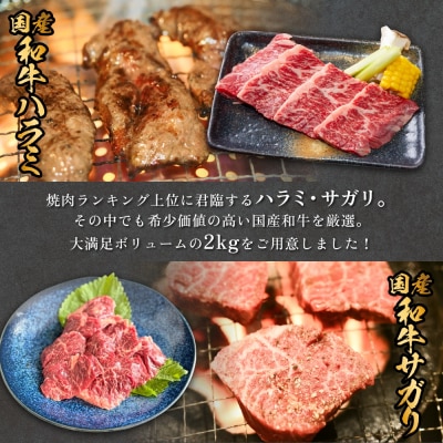 国産和牛 ハラミ サガリ セット 10P 国産 和牛 牛肉 肉 お肉 はらみ さがり 宮城県産 焼肉