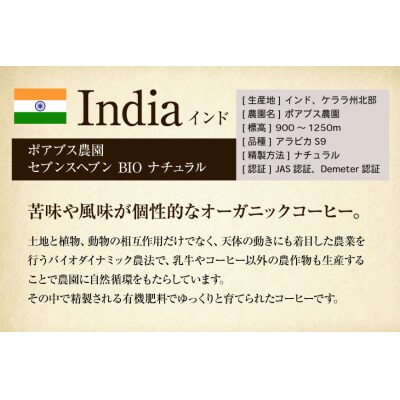 コーヒー豆 自家焙煎 深煎り 100g 2種 計200g 飲み比べ セット 12260781  ◎