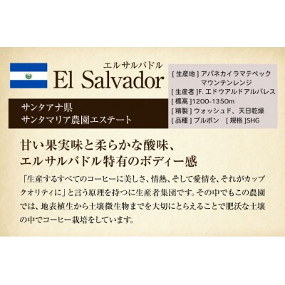 コーヒー豆 自家焙煎 中煎り 100g 2種 計200g 飲み比べ セット 12260780  ◎