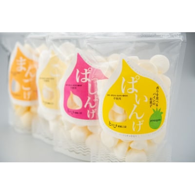 とびしま詰め合わせセットD(れもんげなど9種各2袋)