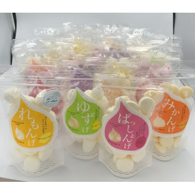 とびしま詰め合わせセットD(れもんげなど9種各2袋)