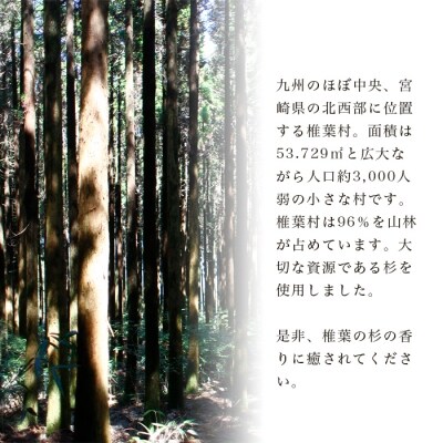 【椎葉産 杉使用】命名ボード 一生に一度の宝物【オンリーワンの逸品】