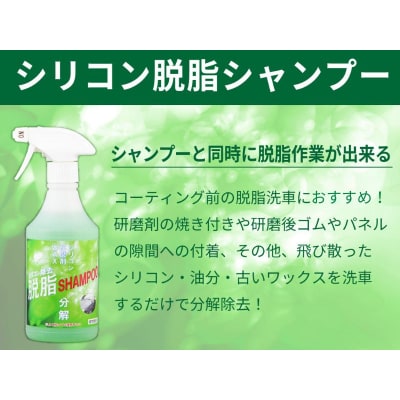 ガラス系コーティング剤 下処理シャンプーセット