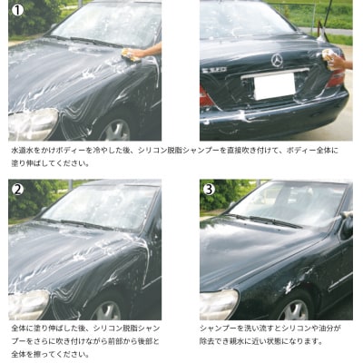 ガラス系コーティング剤 下処理シャンプーセット