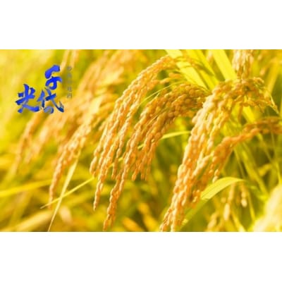 千代の光厳選のみくらべセット