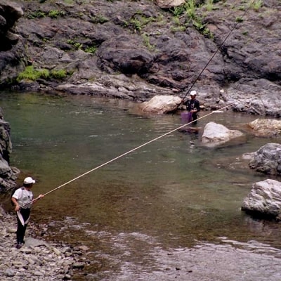 【先行受付:令和8年版】【椎葉での渓流釣りを楽しむ】遊漁許可証(年券) 耳川水系【釣り好き必見】