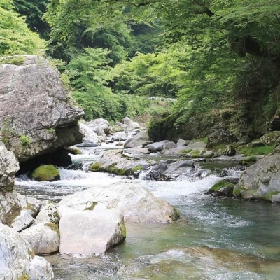 【先行受付:令和8年版】【椎葉での渓流釣りを楽しむ】遊漁許可証(年券) 耳川水系【釣り好き必見】