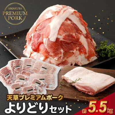天草プレミアムポークよりどりセット約5.5kg_S058-027