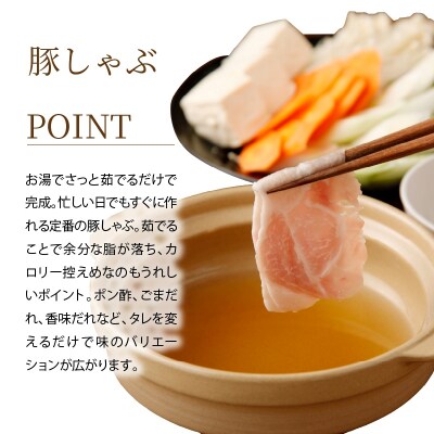 天草プレミアムポークよりどりセット約5.5kg_S058-027