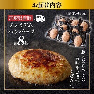宮崎県産豚プレミアムハンバーグ(計8個) 【T001-0095】